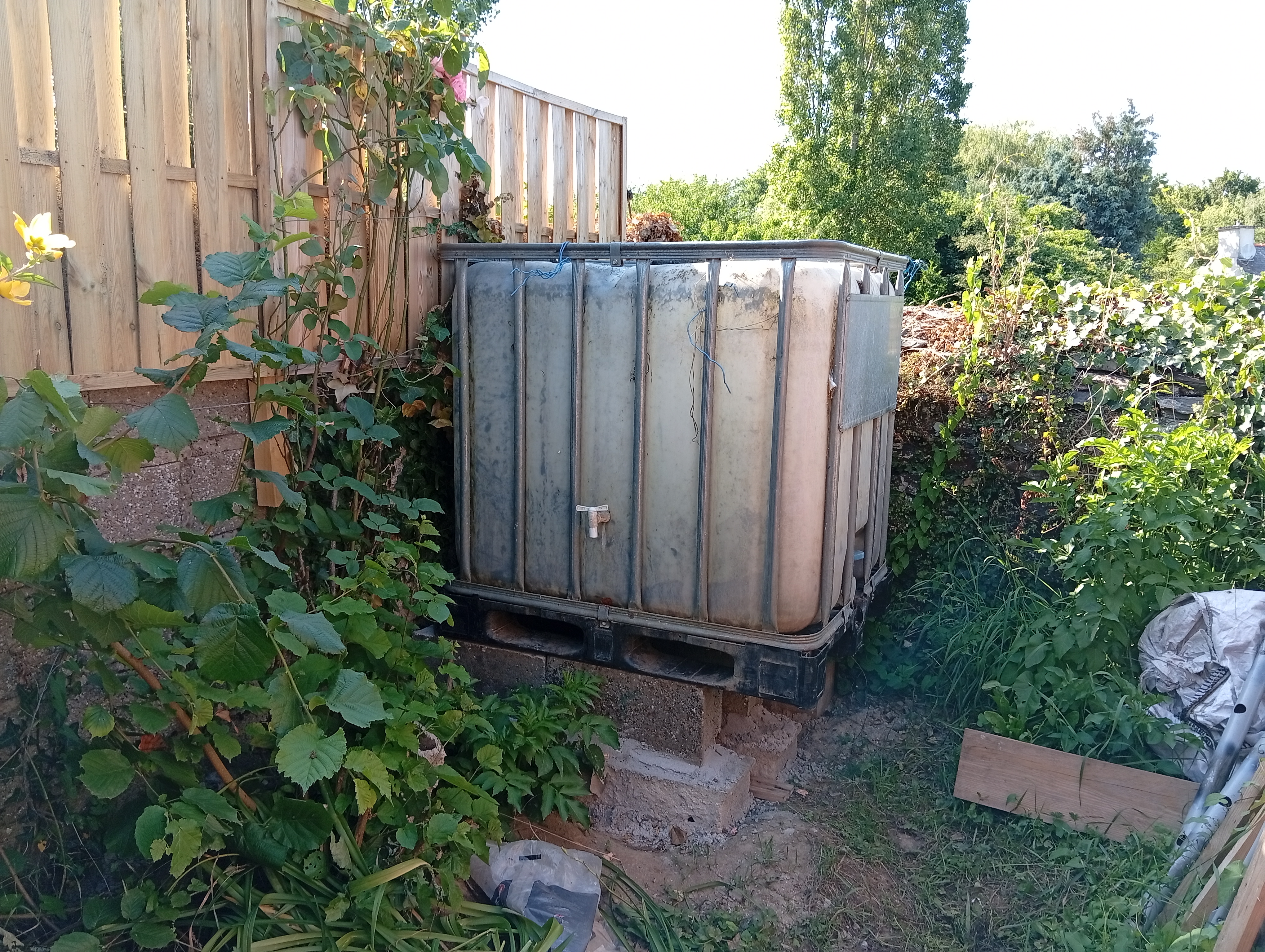 le bac qui était à côté de la maison est maintenant à côté de l'abri de jardin